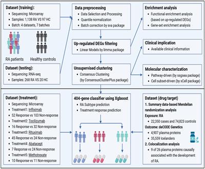 Deciphering the molecular landscape of rheumatoid arthritis offers new insights into the stratified treatment for the condition